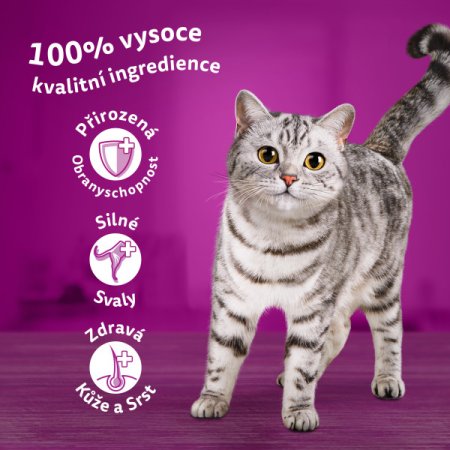 Whiskas kapsička Drůbeží výběr v želé 80 x 85 g