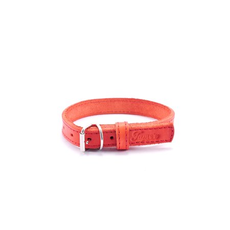 Tamer Kožený obojek Stubby mini (OK 19- 24 cm x 1,4 cm) červená