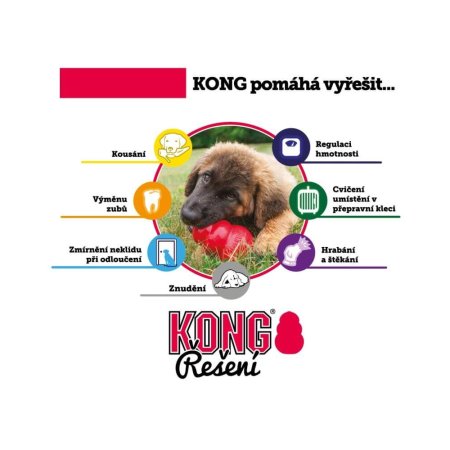 Dogtrace KONG Classic pro psy červená XXL
