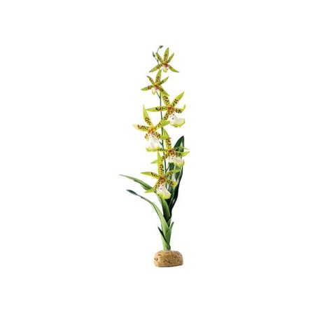 ExoTerra Spider Orchid (POŠKOZENÁ)