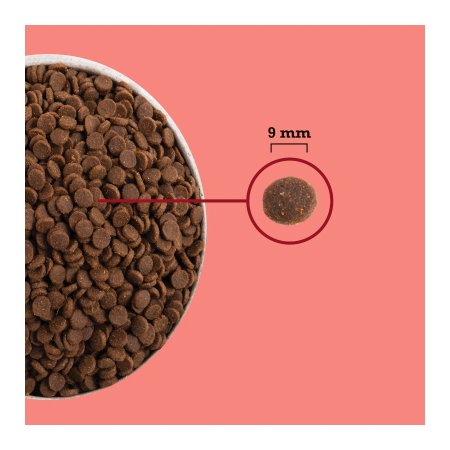 Acana Highest Protein Indoor Cat 1,8 kg