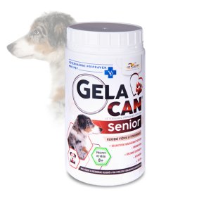 Gelacan Senior 500 g