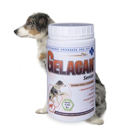 Gelacan Senior 500 g
