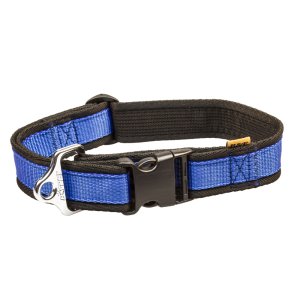 PROFIZOO Obojek popruh JEDNOBAREVNÝ (40 mm x 43 - 74 cm) modrá