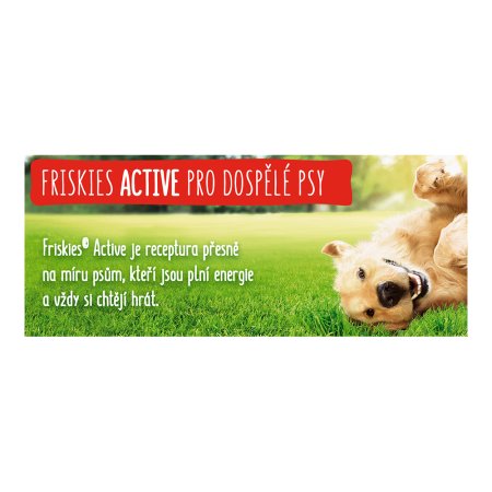 Friskies Active s hovězím 10 kg