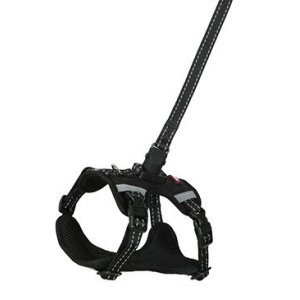 Postroj pes s vodítkem 2m CLIP&GO černá L Zolux