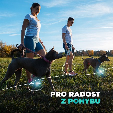 Contipro Geloren Dog L-XL 25 g