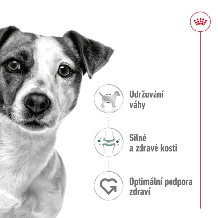 Royal Canin Mini Adult 8 + 1 kg