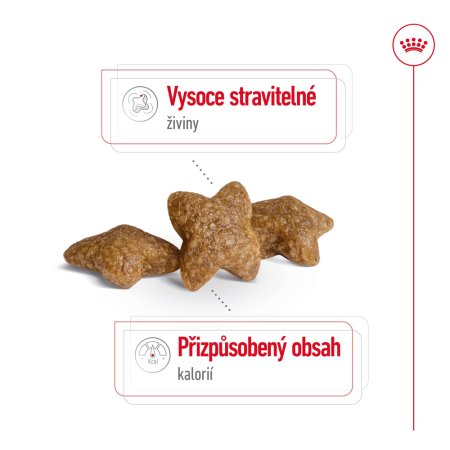Royal Canin Mini Adult 8 + 1 kg