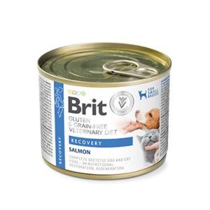 Brit VD Dog+Cat GF konz Recovery 200g