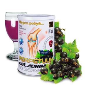 Orling Perpetuum Geladrink práškový nápoj příchuť černý rybíz 500 g