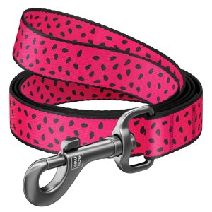 WAUDOG vodítko nylon Meloun (L-XXL/122cm/2,5cm) 