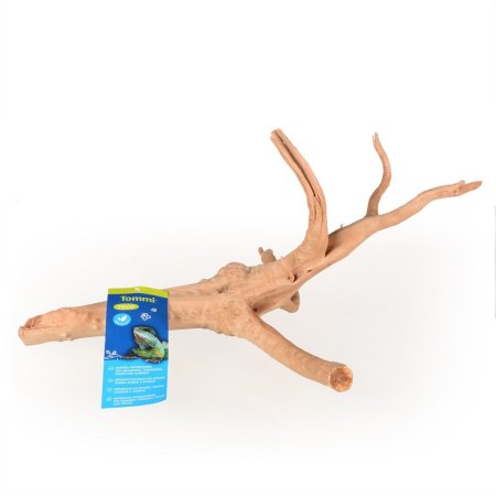 Azalea Root M 30-40cm