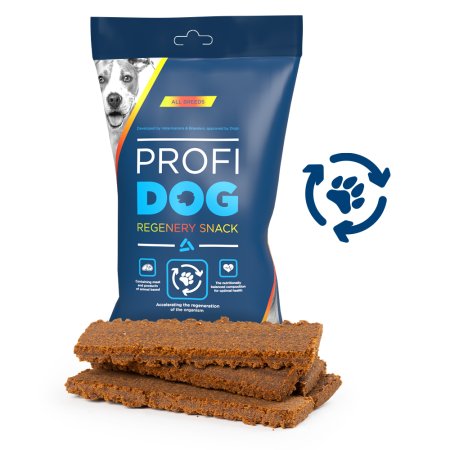 PROFIDOG Snack Regenery 130 g (POŠKOZENÝ OBAL)