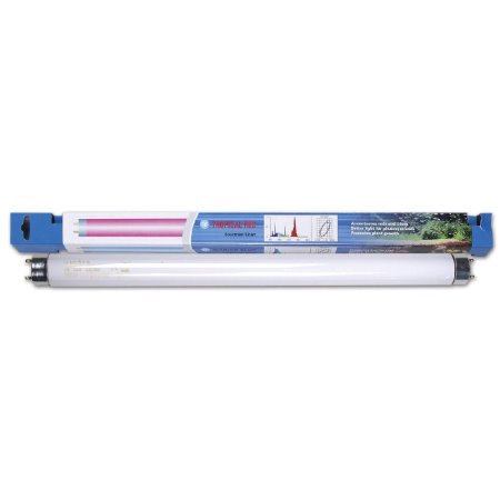 Zářivka Tropical Red 10w, 330mm (DOPRODEJ)