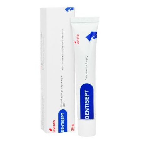 Dentisept 2mg/g pasta pro psy a kočky 20 g (EXPIRACE 09/2025)