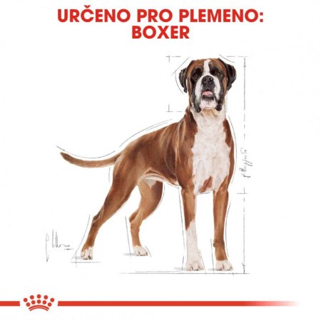 Royal Canin Boxer 12 kg (POŠKOZENÝ OBAL)