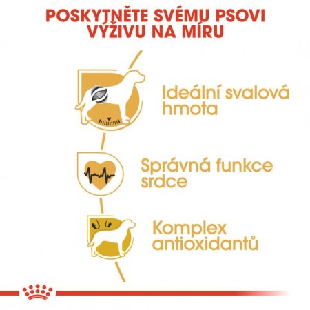 Royal Canin Boxer 12 kg (POŠKOZENÝ OBAL)