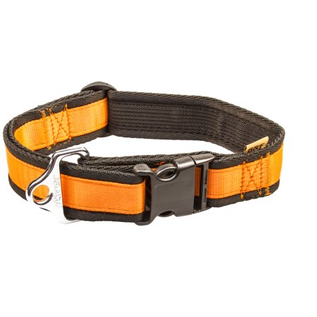 PROFIZOO Obojek popruh JEDNOBAREVNÝ (40 mm x 43 - 74 cm) oranžová