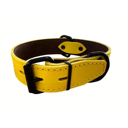 PROFIZOO Obojek HERRY kůže obšitý (35 mm x 55 cm) žlutá