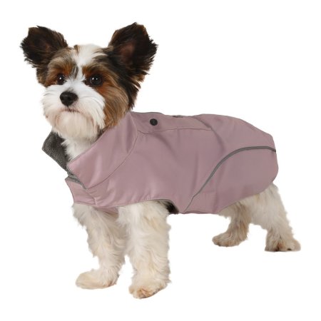 Lunera růžový, 20cm