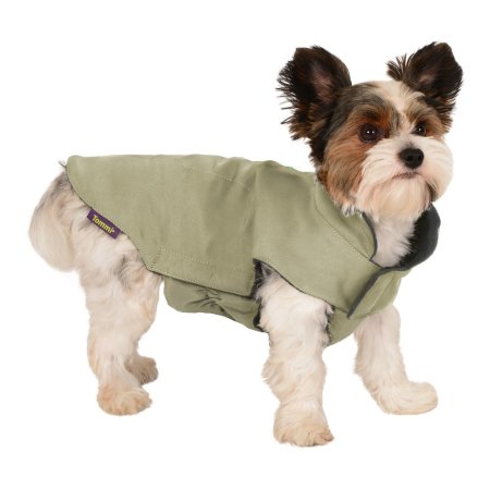 Salvia pastelově zelený 20cm