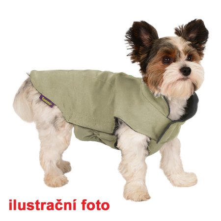 Salvia pastelově zelený 50cm