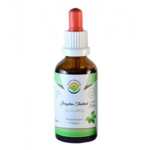 Salvia Paradise Jiaogulan Thailand pro psy a kočky - Tinktura balení 30 ml