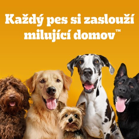 Pedigree granule M/L Junior drůbeží se zeleninou 500 g (EXPIRACE 03/2026)