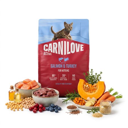 Carnilove Active Cat Dry Made with Salmon & Turkey for kittens 6 kg