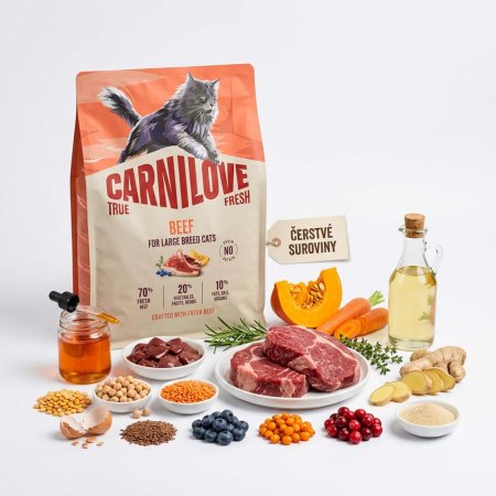 Carnilove True Fresh Cat Dry Beef for Adult Large Breeds 400 g