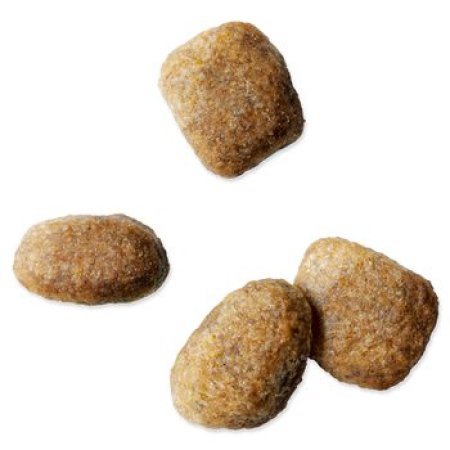 Krmivo IAMS Dog Adult Small & Medium Chicken 2kg + 500g ZDARMA