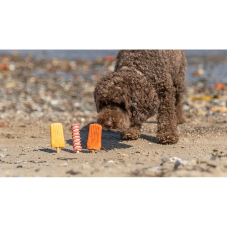 Ice Pop, nanuk s kuřecími prsy a dýní [70], 50 g, oranžová