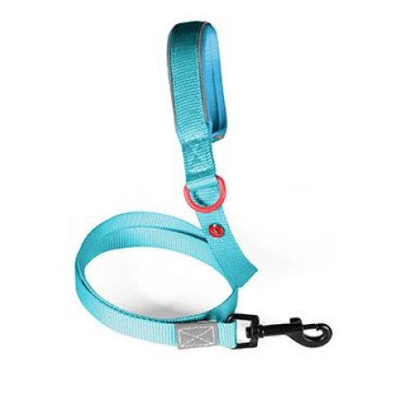 Vodítko pes PREMIUM nylon 25mm/1,2m tyrkysová Zolux