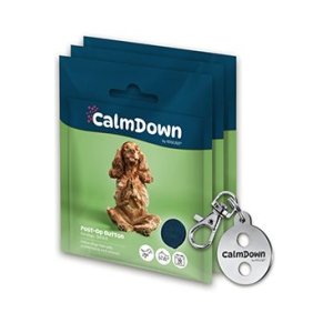 CalmDown Dog Tag Kit kovový přívěsek+3knoflíky KRUUSE