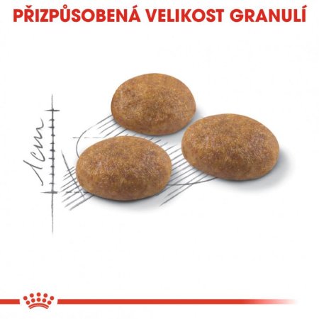 Royal Canin Outdoor Cat 10 kg (POŠKOZENÝ OBAL, váha 9,9 kg)