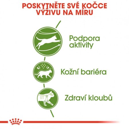Royal Canin Outdoor Cat 10 kg (POŠKOZENÝ OBAL, váha 9,9 kg)
