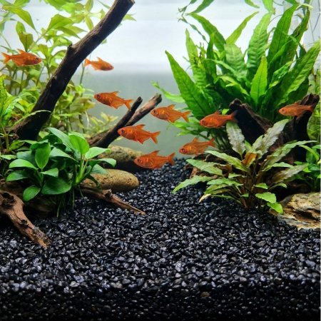Akvarijní a terarijní štěrk černý 2 kg DECO