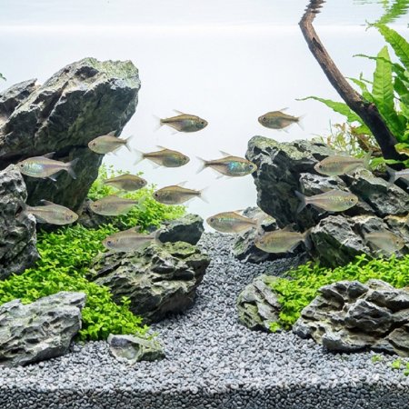Akvarijní a terarijní štěrk šedý 5 kg DECO