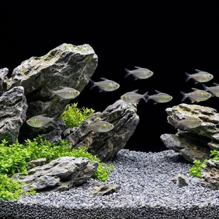 Akvarijní a terarijní štěrk šedý 5 kg DECO
