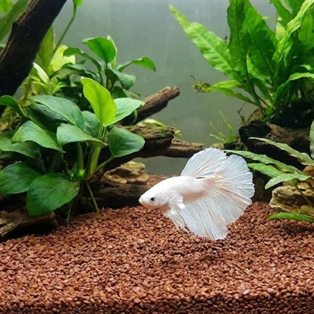 Akvarijní a terarijní štěrk hnědý 5 kg DECO
