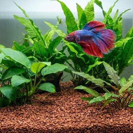 Akvarijní a terarijní štěrk hnědý 5 kg DECO