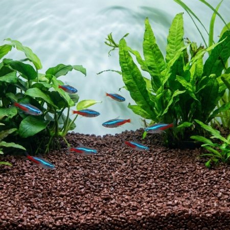 Akvarijní a terarijní štěrk tmavě hnědý 2 kg DECO