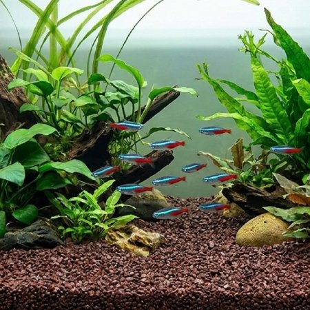 Akvarijní a terarijní štěrk tmavě hnědý 5 kg DECO