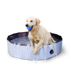 CoolPets bazének Dog Pool M (100x30cm)