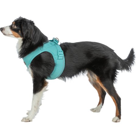 UrbanVest postroj, XS–S: 41–44 cm/15 mm, aqua