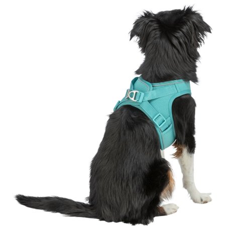 UrbanVest postroj, S–M: 53–56 cm/20 mm, aqua