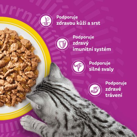 Whiskas kapsička Drůbeží výběr v želé 40 x 85 g