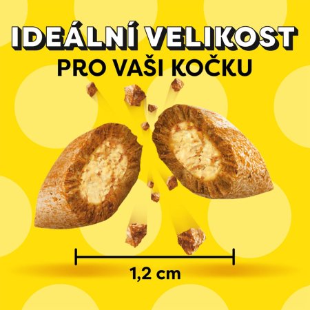 Dreamies pochoutka Catnip 180 g