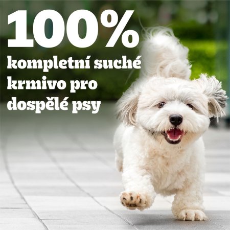 Pedigree granule Mini Adult hovězí se zeleninou 1,4 kg